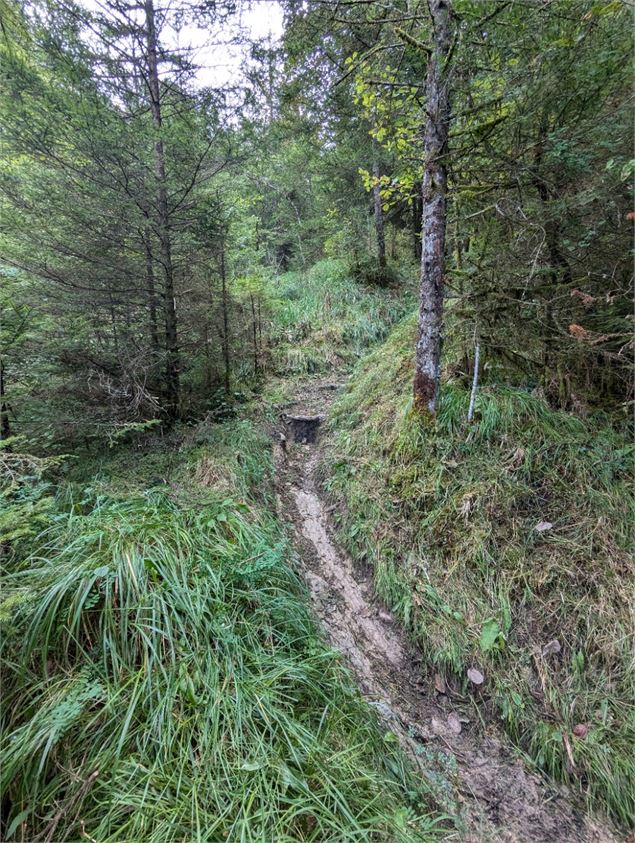 Descente raide technique - HBT-MaximeMichel