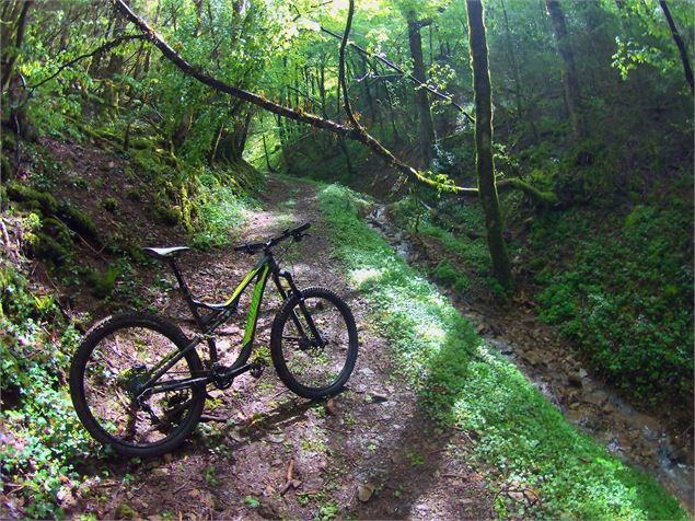 VTT Revermont - Revermont Bike