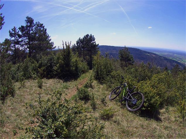 VTT Revermont - Revermont Bike