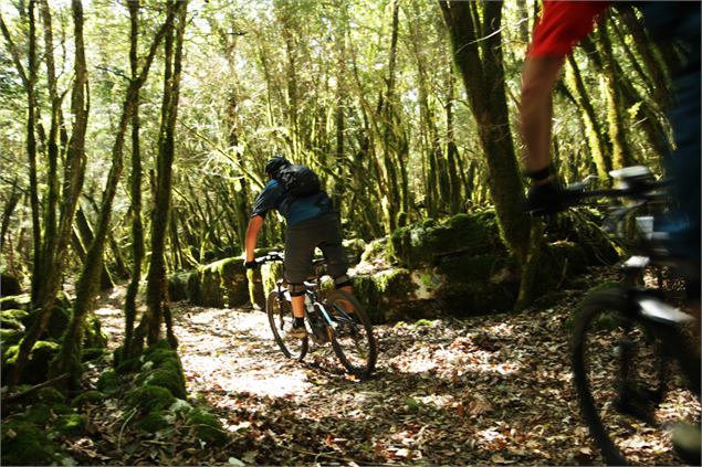 Espace Revermont - Base VTT