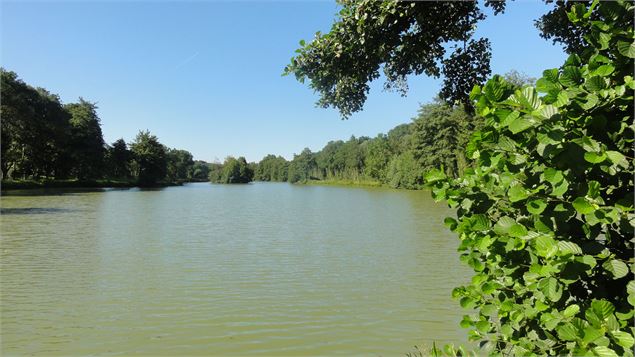 Le bocage de Cormoz - Etang de Mépillat (VTT) - Sébastien Calland