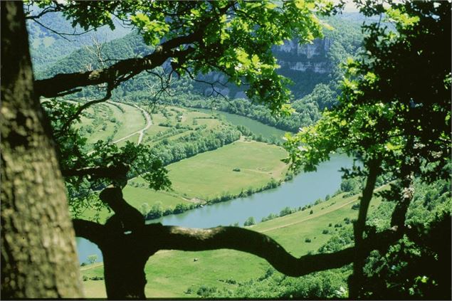 Rivière d'Ain, ENS de l'Ain - Département de l'Ain, Sébastien Tournier