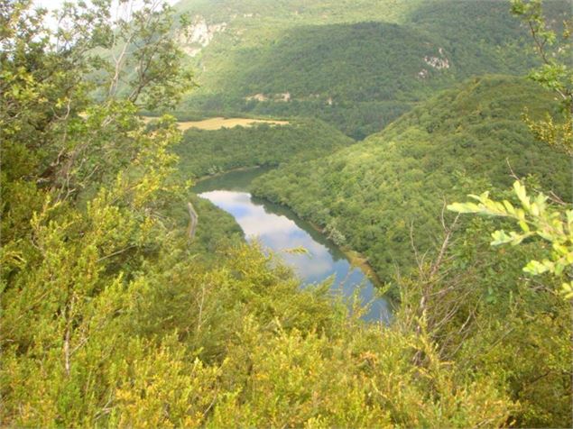 Rivière d'Ain, ENS de l'Ain - Département de l'Ain, Sébastien Tournier