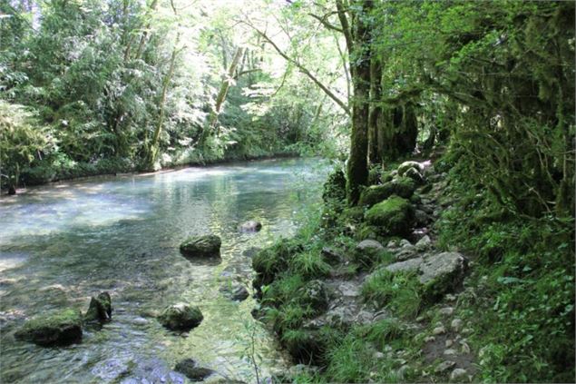 Rivière d'Ain, ENS de l'Ain - Département de l'Ain, Sébastien Tournier