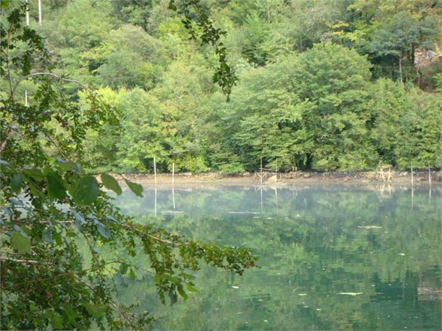 Rivière d'Ain, ENS de l'Ain - Département de l'Ain, Sébastien Tournier