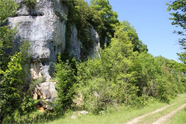 Rivière d'Ain, ENS de l'Ain - Département de l'Ain, Sébastien Tournier