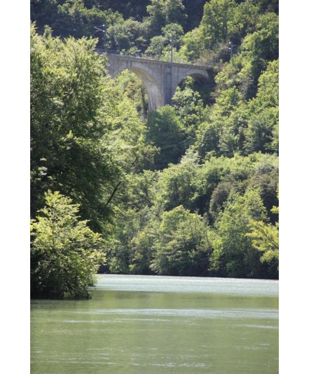 Rivière d'Ain, ENS de l'Ain - Département de l'Ain, Sébastien Tournier