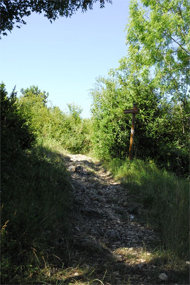 Randonnée Les Conches - S-Chapuis/Aintourisme