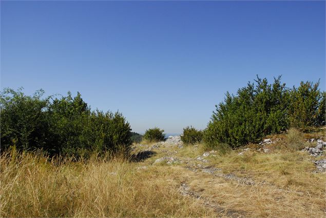 Randonnée Les Conches - S-Chapuis/Aintourisme