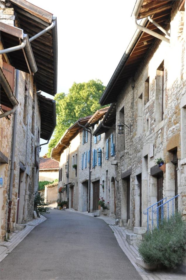 Treffort médiéval, une traversée d'histoire