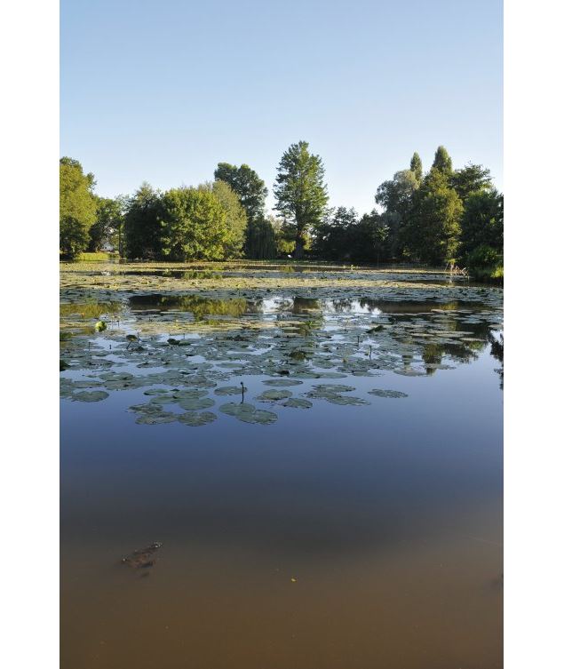 Plan d'eau Dompierre_Crédit C.Thieux (2) - Crédit Bourg-en-Bresse Agglomération (3)