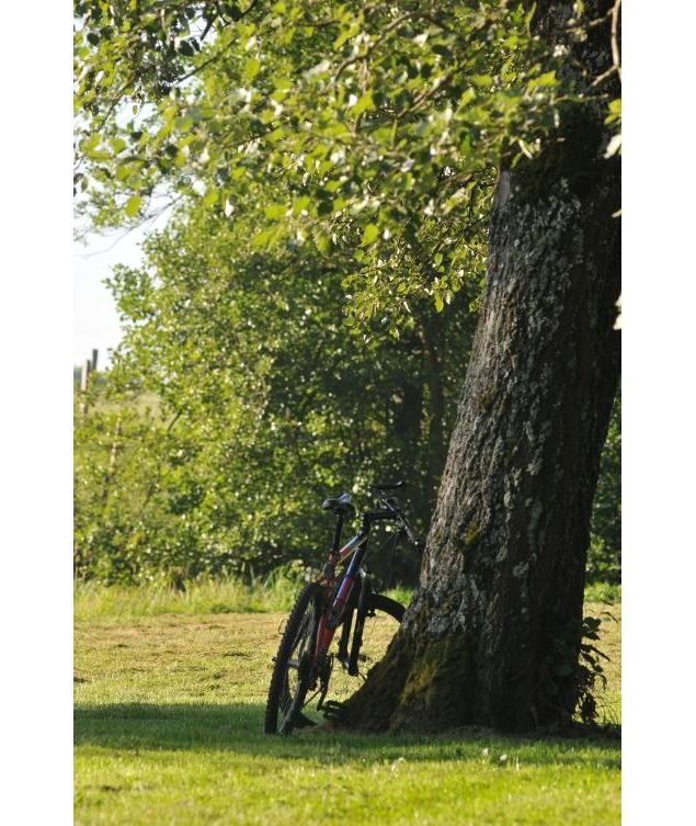 Vélo Dompierre_Crédit C.Thieux - Crédit Bourg-en-Bresse Agglomération (3)