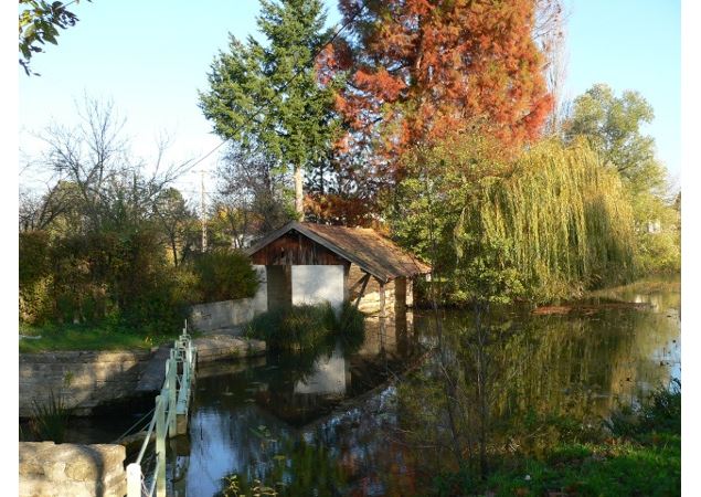 Étang Dompierre_Crédit Bourg-en-Bresse Agglomération (3) - Crédit_C. Thieux