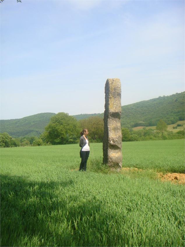 Menhir de Pierre Fiche - Simandre/Suran