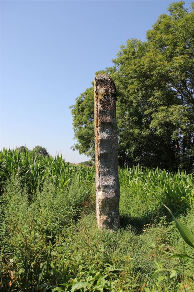 Menhir de Pierre Fiche - Simandre/Suran