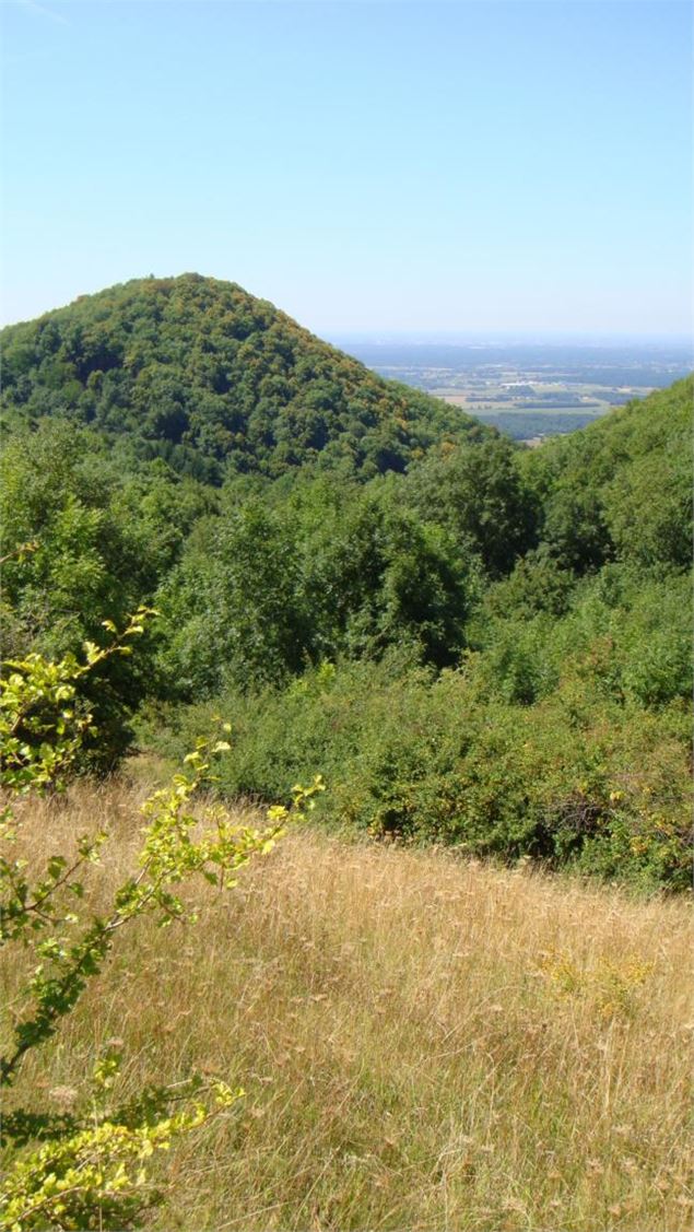 Château de Montfort, éperon barré celte ou site médiéval