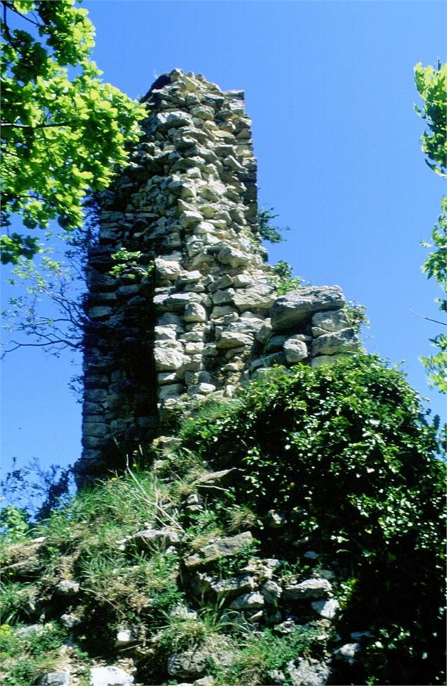 Château de Montfort, éperon barré celte ou site médiéval