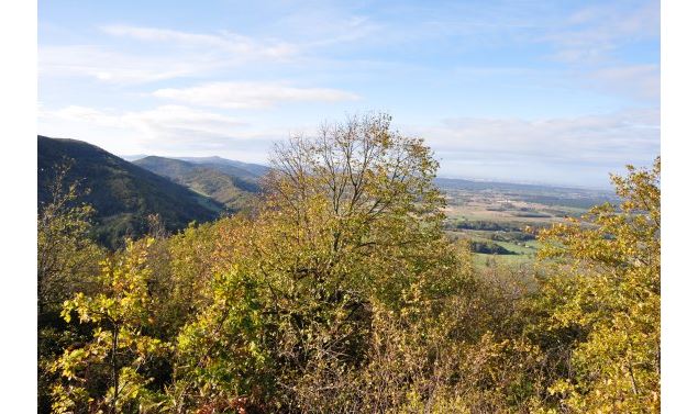 Château de Montfort, éperon barré celte ou site médiéval