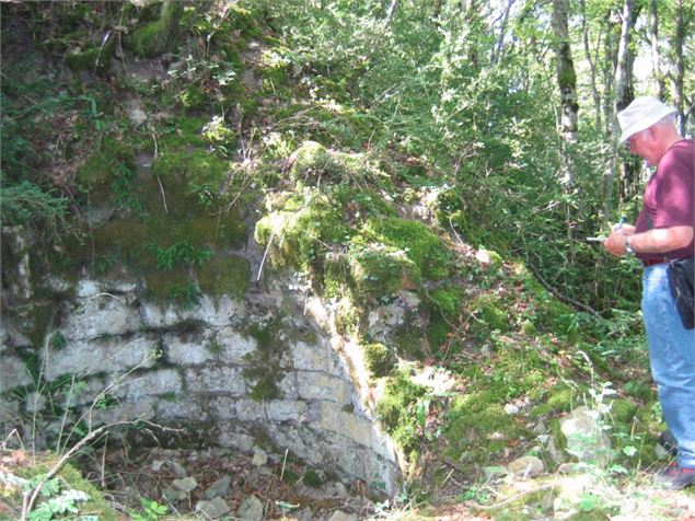 Château de Montfort, éperon barré celte ou site médiéval