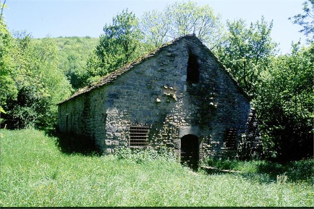 Château de Montfort, éperon barré celte ou site médiéval