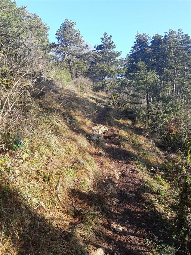 Montagne de Meillonnas - scalland