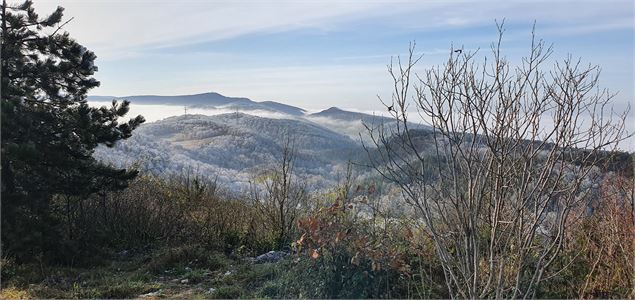 Mont de Grillerin - scalland