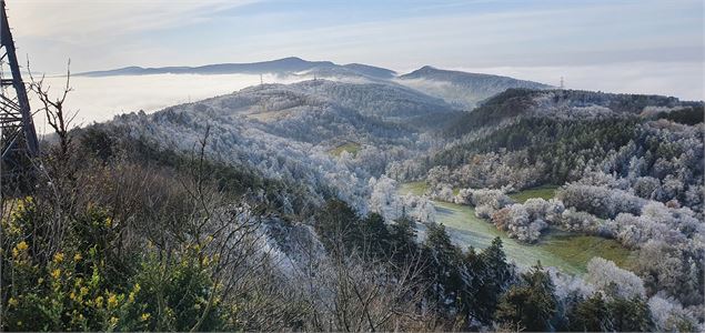 Mont de Grillerin - scalland