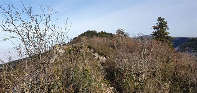 Mont de Grillerin - scalland