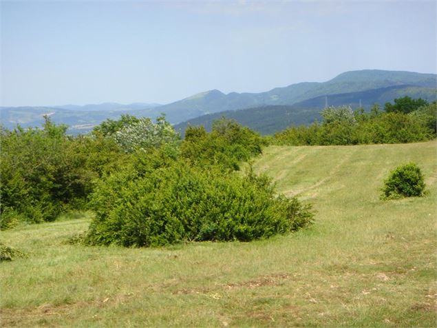 La chapelle des Conches