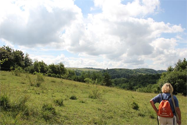 Plateau des Trénoz