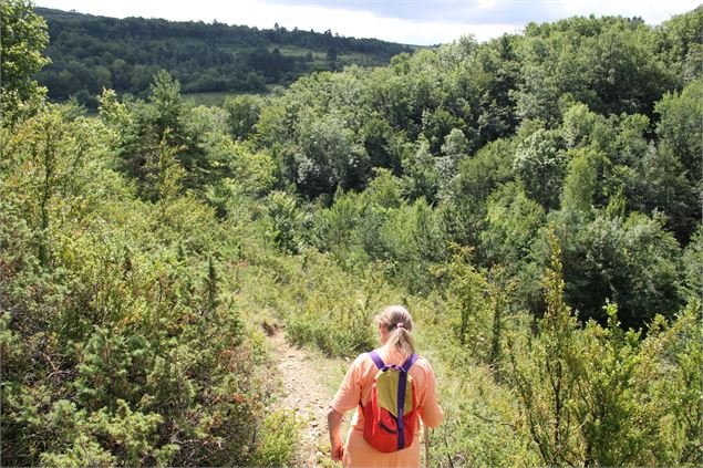 Plateau des Trénoz