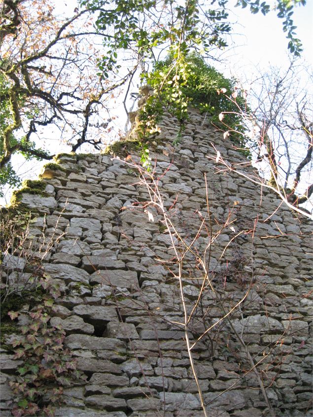 Ruines de Lomont - S Calland