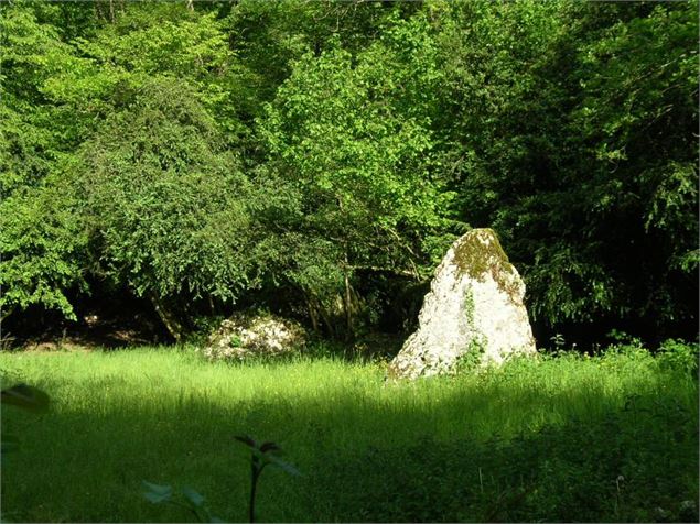 La Bocquette à St Martin du Mont - S Calland