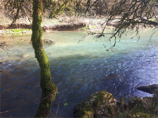 La Bocquette et les gorges du Suran - S Calland