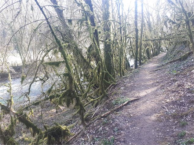 La Bocquette et les gorges du Suran - S Calland