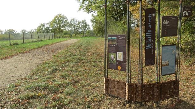 Sentier d'interprétation du Sougey - CA3B