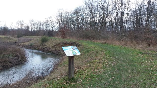 Plan d'eau de la Gravière et détournement de la Veyle