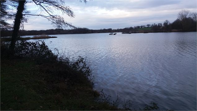 Plan d'eau de la Gravière et détournement de la Veyle