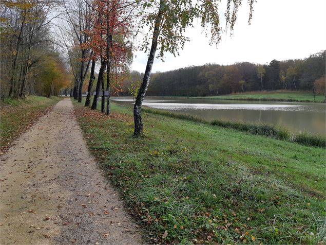 Etang de Fougemagne - CCCC