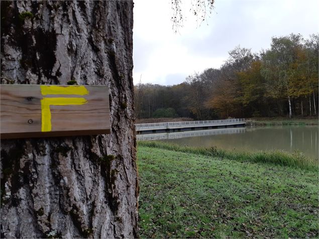 Etang de Fougemagne - CCCC