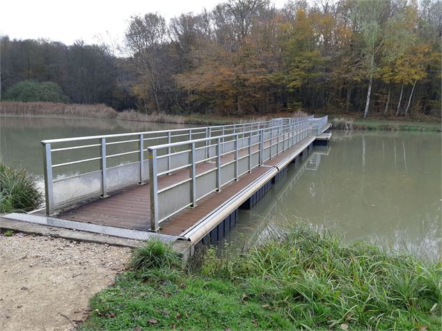 Etang de Fougemagne - CCCC