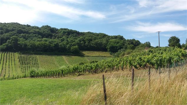 Sentier des Ecureuils