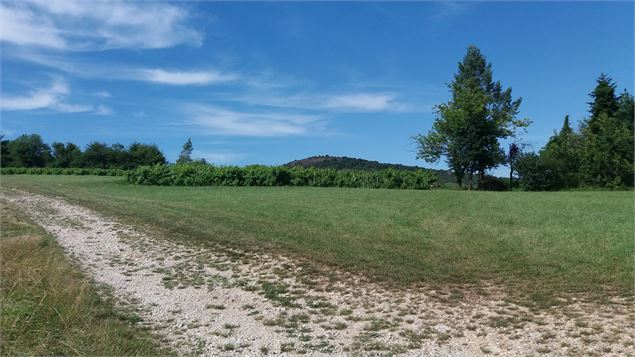 Sentier des Ecureuils