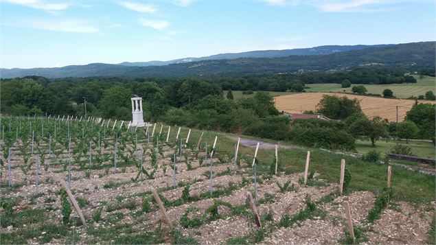 Sentier des Ecureuils