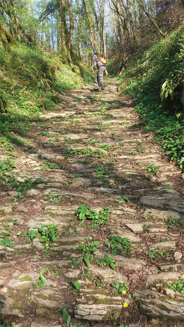 Ancienne voie dans le vallon entre Salavre et Poisoux - scalland