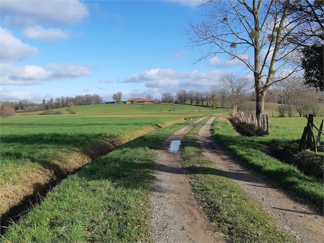 Etang des Baisses et ferme de Bévey - scalland