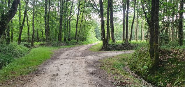 Arboretum d'Etrez - ND de Bourbouillon - scalland