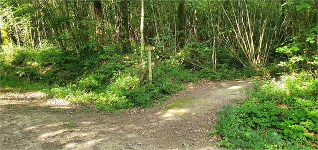 Arboretum d'Etrez - ND de Bourbouillon - scalland