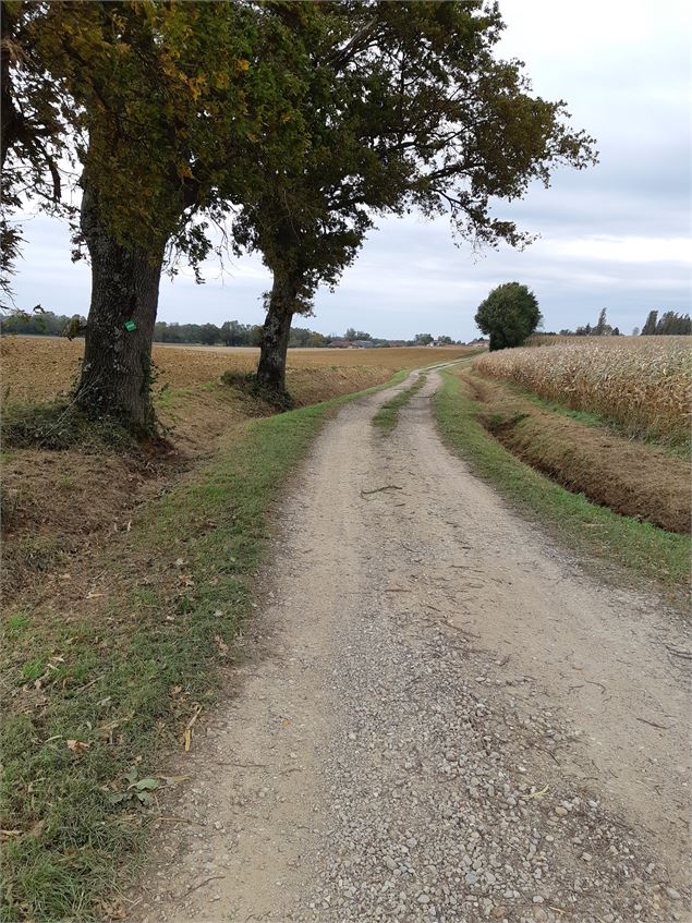 L'arboretum d'Etrez - ND de Bourbouillon - scalland