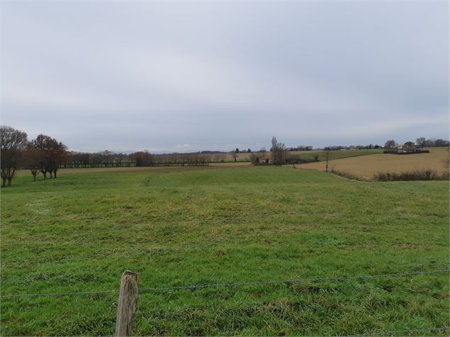 Marsonnas et le Bois de la Déserte - scalland